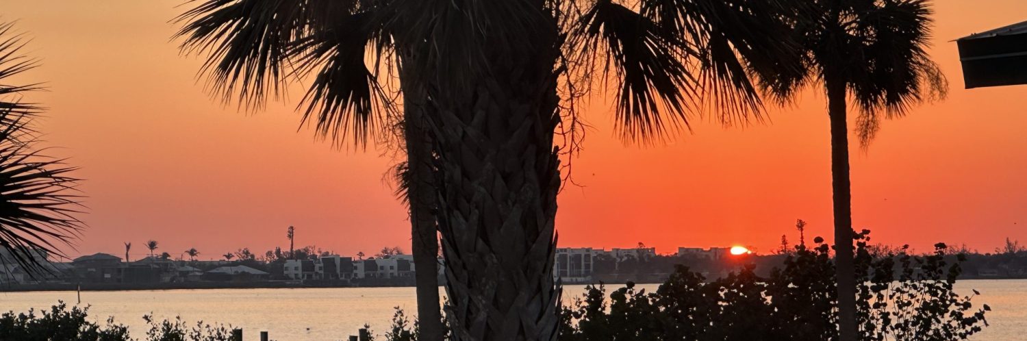 Modern Sunset Realtors